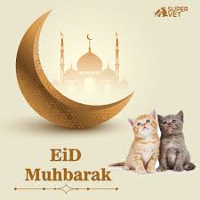 We did not find results for: City Pet Hospital Posts Facebook