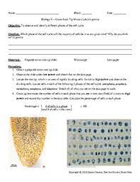 We did not find results for: Cell Growth And Division Onion Root Tip Mitosis Lab Higher Level