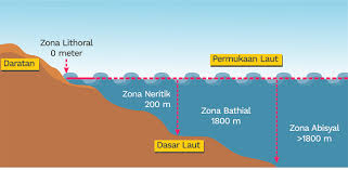 Check spelling or type a new query. Prolog Materi Klasifikasi Zona Laut Zenius Education