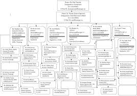 Ministry of health & population mohp tor. Organization Sstructure