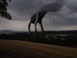 Pictures of the country road creature. 180 Country Roads Take Me Home Ideas Country Roads Take Me Home Creepy Creepy Images