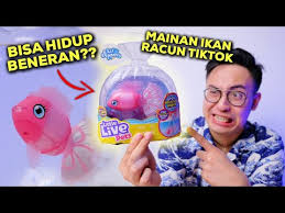 new tiktok viral song remix 2021nonstop 1hour vol.1. Racun Tiktok Ikan Ini Bisa Hidup Beneran Little Live Pets Lil Dippers Fish Unboxing Review Youtube