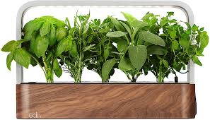 Your comment must be in english or it will be removed. Indoor Herb Garden Kits That Make Growing Your Own Easy Well Good