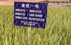 Translation of 杂交 from thecollins chinese to english. ç¬¬ä¸‰ä»£æ‚äº¤æ™šç¨»äº©äº§çªç ´1000å…¬æ–¤ è¢éš†å¹³ å¾ˆæ»¡æ„