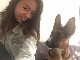 Lost female husky mix in west phoenix area