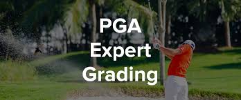 This is to say that if you disagree with any golfer's ranking specifically. Daily Overlay Daily Fantasy Sports Dfs Expert Grading