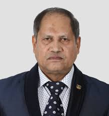 Vice Chairman of Redmin