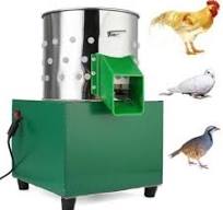 Amazon.com: 110V / 220V Small Chicken Dove Feather Plucking ...
