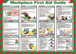 Free Printable First Aid Guide First Aid Poster First Aid