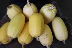 Check spelling or type a new query. Where To Order Fruit Trees In Canada Rural Dreams