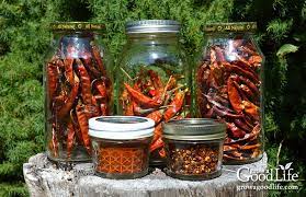 3 Ways To Dry Peppers For Food Storage