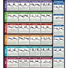 28 Rigorous Bowflex Xtreme 2 Se Workout Chart