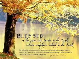 But Blessed Is The One Who Trusts In The Lord Whose Confidence Is In Him They Will Be Like A Tree Pla Optimist Quotes Inspirational Words Meaningful Quotes
