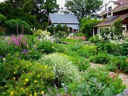 Blooming Gardening Ideas Cottage Garden Design English Garden Design Cottage Garden