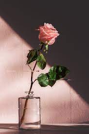 .roses xx on the xbox 360, a gamefaqs message board topic titled how do i get this reiko gamerpic?. Roses Gamerpic Grunge Tumblr Aesthetic Red Redaesthetic Rose This Means You Can Customize Your Xbox Lekisha Dally