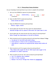Energy worksheets and online activities. 29 Photosynthesis Whats In A Leaf Worksheet Answers Worksheet Project List