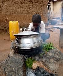 Image result for Rhamphicarpa brevipedicellata