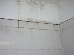 It could be for smaller items like towels, or something as large as a whole bathroom. Bathroom Mold Issues Hgtv