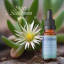 Image result for Synaptolepis alternifolia