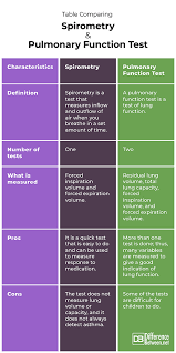Image result for Pulmonary Function Test