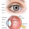 You can either 'close your eyes' and make yourself oblivious to it, you can see it and let it affect you and 'cry', or you can do what he did and see it and not let it hurt you. 1