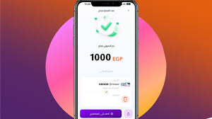 كيفية دفع فاتورة النت من انستا باي .. وطريقة تحميله -الايام المصرية