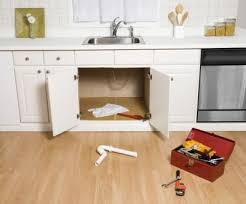 under kitchen sinks, sink cabinet