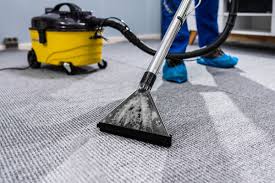 How Professional Carpet Cleaning Can Make Your Home Shine - Professional  Carpet Systems