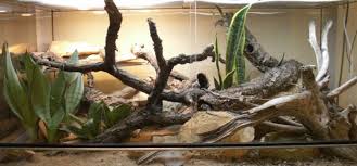 Terarium merupakan taman mini dalam ruangan yang ditempatkan di wadah kaca. Bikin Terrarium Di Rumah Yuk Inilah Caranya Republika Online