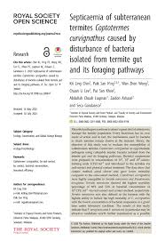 I did get a free 57 point inspection. Pdf Septicaemia Of Subterranean Termites Coptotermes Curvignathus Caused By Disturbance Of Bacteria Isolated From Termite Gut And Its Foraging Pathways