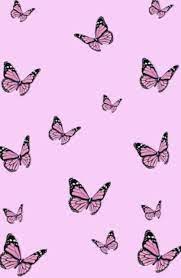 Pink Butterfly Background Butterfly Wallpaper Backgrounds Butterfly Wallpaper Pink Butterfly Background