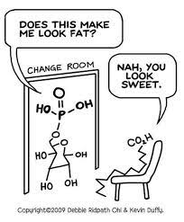 Pin By Kari Danielle On I Lurve Science Chemistry Jokes Science Jokes Biology Jokes