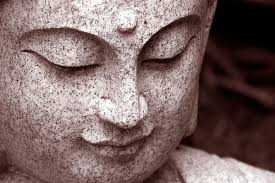 Field Notes From The Body