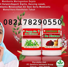 Penyakit raja singa atau sipilis ini tidak pandang bulu, penyakit ini bisa menyerang pria maupun wanita. Obat Raja Singa Sipilis Home Facebook