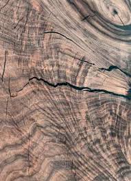 Pecan wood is a type of hickory wood that is known for its rich, buttery, edible nuts. Types Of Wood We Use Texas Pecan Wood
