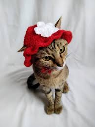 Summer Hat For Cat Red Brim Kitty Hat Flower Hats For Cats Etsy In 2020 Pet Costumes Cat Lover Gifts Cat Accessories