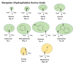 Dna contains the instructions needed for an organism to develop, survive and reproduce. Ch103 Chapter 8 The Major Macromolecules Chemistry