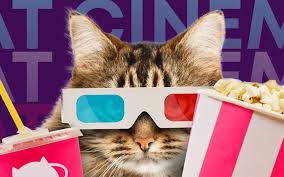 It is so much better than store bought. Sydney S Catmosphere Cat Cafe Has Opened A Kitty Cinema In Surry Hills