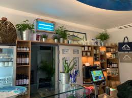 Maybe you would like to learn more about one of these? David Morley Oliverandbird1 Twitter