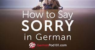 These 22 words to say hello in german and goodbye in german will make your conversational skills sound 22 useful german greetings to say hello and goodbye in german. How To Say Sorry In German