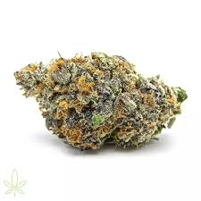 The production method allows us to preserve all the properties of the trichomes in a pure dough. Gelato Kush Svenska Cannabis Shop