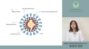 政經焦點 新冠肺炎防疫 熱門話題 總經趨勢 大數字. Covid 19 æ­¦æ¼¢è‚ºç‚Ž ä¹‹ç—…æ¯'å­¸è§£æž Youtube