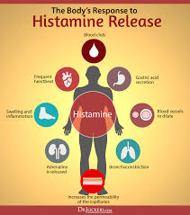 Image result for Histamine