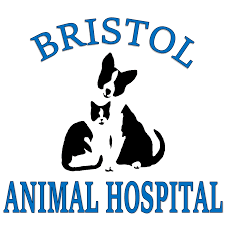 😱 👉go follow our 2nd page @pupringusa 👈 linktr.ee/goldenpuppys. Bristol Vt 05443 Veterinarians Bristol Animal Hospital