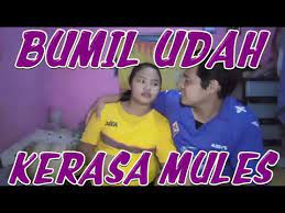 Cita citata, dinar candy, fero walandouw and others. Download Vlog Bumil 9 Bulan Mp4 Mp3 3gp Naijagreenmovies Fzmovies Netnaija