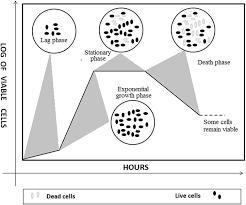 Maybe you would like to learn more about one of these? Introduction To Animal Tissue Culture Science Book Chapter Iopscience
