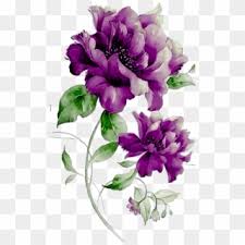 Other descriptive terms are bloom, blossom, efflorescence, plants, bouquets, wreaths, floral, blooms, wildflowers, petals, flora. Free Purple Flower Png Png Transparent Images Pikpng