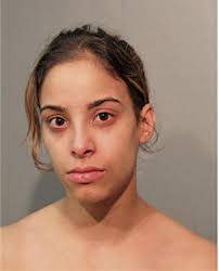 ᐅ Illinois Criminal Records 2009-2025