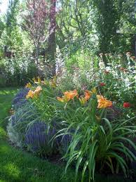 Border With Day Lillies Daylily Garden Garden Design English Garden Design