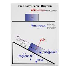 Diagram Van De Kracht Van Het Lichaam Van De Poster Zazzle Nl Physics And Mathematics Physics Classroom Physics Lessons